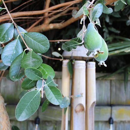 Beautiful Home With Short Stroll To Havelock Village แฮฟล็อค นอร์ท ภายนอก รูปภาพ