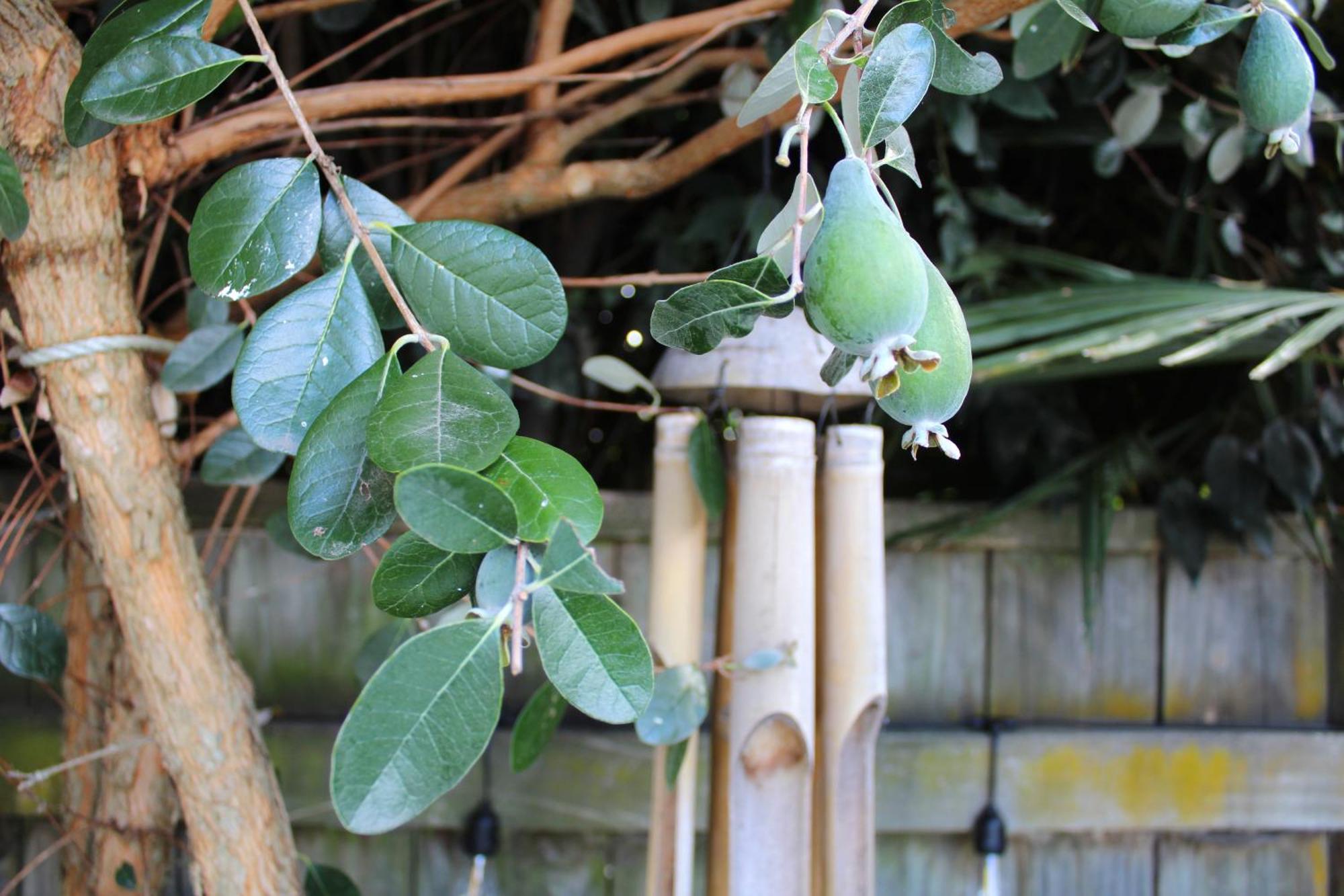 Beautiful Home With Short Stroll To Havelock Village แฮฟล็อค นอร์ท ภายนอก รูปภาพ